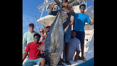 Rare 'cow' tuna landed off Cabo San Lucas as bite heats up