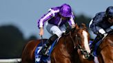 Diego Velazquez roars back at Leopardstown