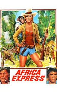 Africa Express (film)