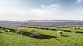 California Forever promises to combine solar energy production with agriculture in Solano County