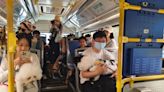 深圳首架寵物友善巴士正式開通！來往寶安南山區寵物公園 | U Travel 旅遊資訊網站