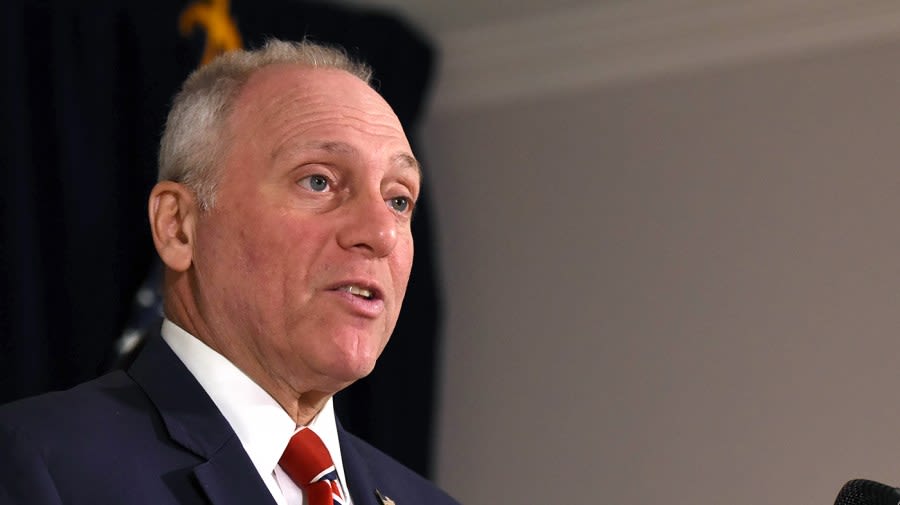 Scalise calls on Secret Service director to step down after Trump shooting