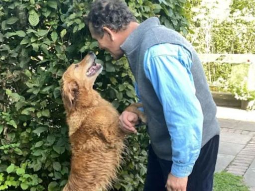 Monty Don flooded with support from fans after sharing emotional post