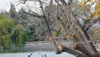 El pronóstico indica descenso de la temperatura en Mendoza: la máxima para este jueves | Sociedad