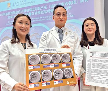 研究：IVF「縮時培養箱」懷孕率無異傳統法