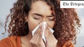 Covid or hay fever? How to tell the difference