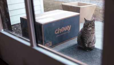 Chewy shares fall after surging on revelation of ‘Roaring Kitty’ meme trader’s 6.6% stake