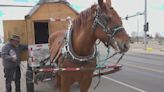 Man traveling across country on his horse-drawn carriage for 5th time
