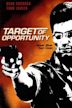 Target of Opportunity