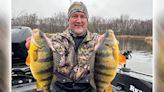 Jumbo perch are thriving on Minnesota/Wisconsin waters of the Mississippi River - Outdoor News