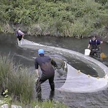 Seine fishing