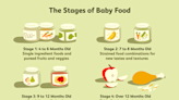 Making Sense of the Stages on Baby Food Labels