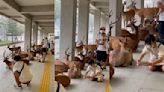 Japan’s Nara deer take shelter from rain in adorable viral video