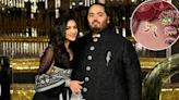 Anant Ambani & Radhika Merchant Sangeet: First Look Out! WATCH Ambanis 'Breathtaking' Setup For The Night