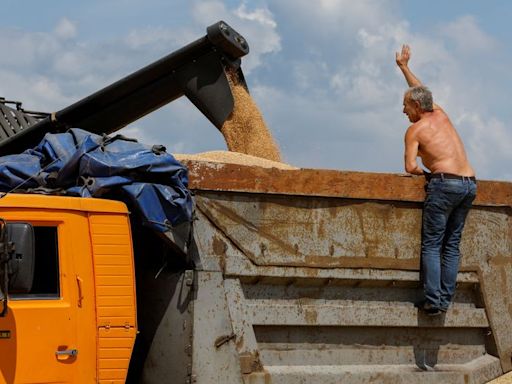 Rusia declara estado de emergencia federal en 10 regiones agrícolas