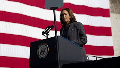 Who is Kamala Harris? US vice president and favoured Biden successor