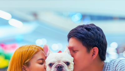 Your Complete Guide To Every Pet-Friendly Mall In Hong Kong