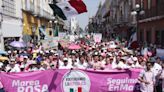 "Sí a la democracia, no a la dictadura": así se vivió la Marea Rosa en México