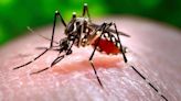 Maryland reports state’s first case of locally acquired malaria strain in over 40 years