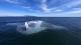 Sub drone 'Manta Ray' capable of gliding through ocean undetected hits the sea