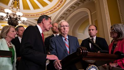 Trump, other GOP leaders called for McConnell to step down after freezes | Fact check