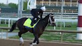 A look ahead at the 150th running of the Kentucky Derby