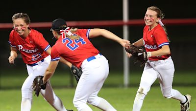 'All season they have shown a lot of fight': Revere bows out in softball district final