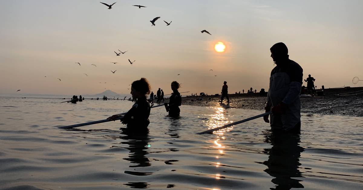 Kenai dipnet fishery to open 24 hours a day starting Thursday evening