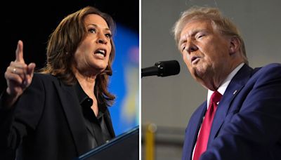 Harris supera en simpatía, pero Trump en liderazgo: encuesta - El Diario NY