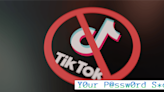 Y0ur P@ssw0rd S*cks: What to do if TikTok gets banned