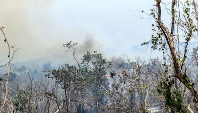 Incendios forestales azotan a la ciudad mexicana de Acapulco tras 6 meses del huracán Otis