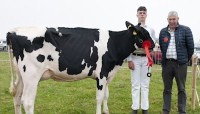 Organisers of Gorey Agricultural Show forced to cancel this year’s competition as no suitable date can be found