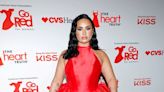 Demi Lovato Nails the Corset Trend in 2 Outfits at Red Dress Concert