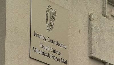 Man remanded in custody in Cork on firearm charges