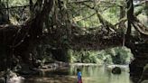 The genius “living bridges” found in the world's wettest villages