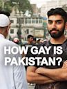 How Gay Is Pakistan?