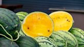 Everything You Need to Know About Yellow Watermelon