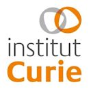 Curie Institute