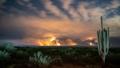 Increase of wildfires in saguaro-studded desert 'really alarming,' report warns