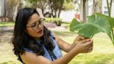 ¿Cómo suenan las plantas? Científica mexicana produce música generada con sonidos de la vegetación