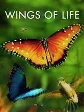 Wings of Life