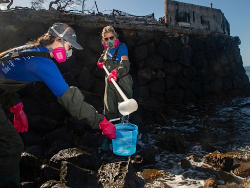 Maui community mobilizes to protect water quality from runoff after Lahaina fires