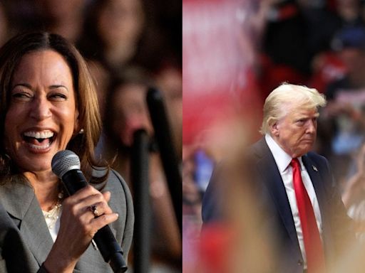 Is she Indian or black, says Trump on Harris; repulsive, insulting, responds White House