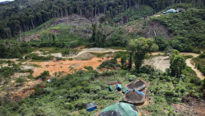 Mônica Bergamo: Garimpo já devastou 584 campos de futebol em três terras indígenas neste ano, diz Greenpeace