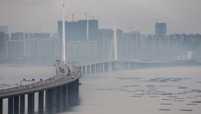 政府下月起移除后海灣無登記蠔排 再檢視水質等因素制定管理計劃