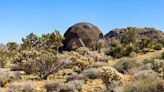 Live Out Your Geodesic Dome Dreams in This $899K Joshua Tree Home