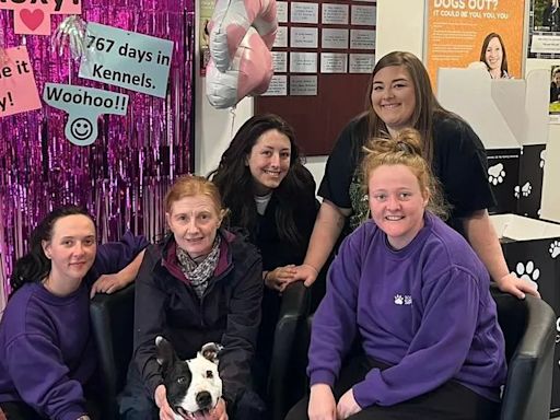 Scotland's 'loneliest dog' finally finds home after two long years in shelter