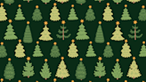 Quiz! Can you solve this Christmas tree brain teaser?