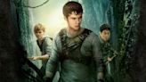 The Maze Runner Is Getting a Reboot, Writer Announced