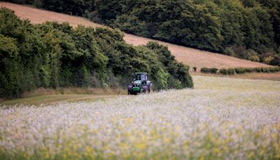 Nature recovery projects to receive £150m National Lottery funding